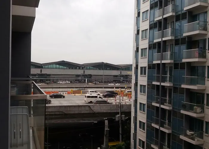 One Palm Tree Close To Airport - Terminal 3